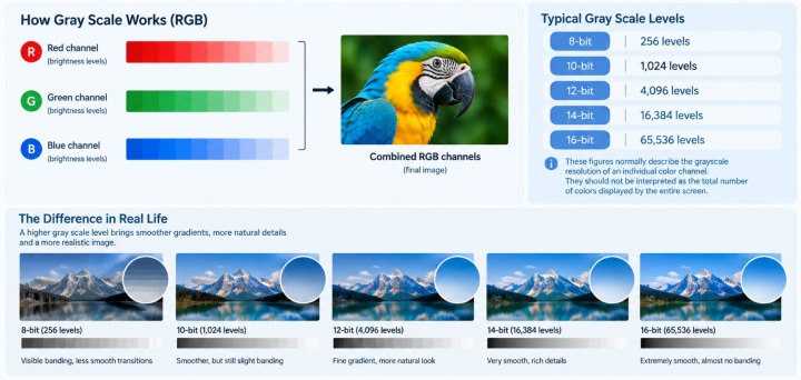 LED display grayscale infographic showing RGB brightness levels and illustrative 8-bit to 16-bit gradient comparisons