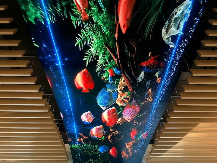 Premteco FL P2.5 Flexible LED Display in Saudi Arabia